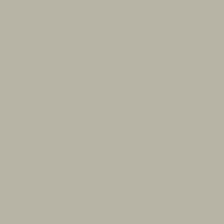 Soudal Silirub Color Siliconenkit RAL 7032 300ml