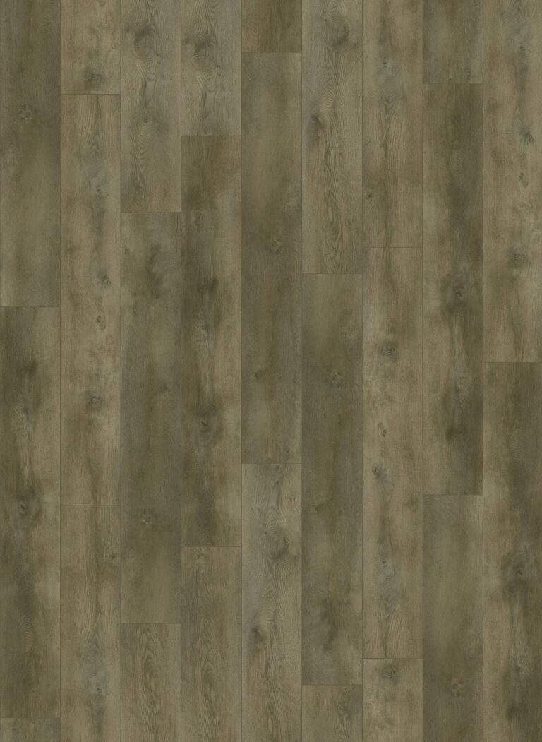 Nevada 6000 (dryback)