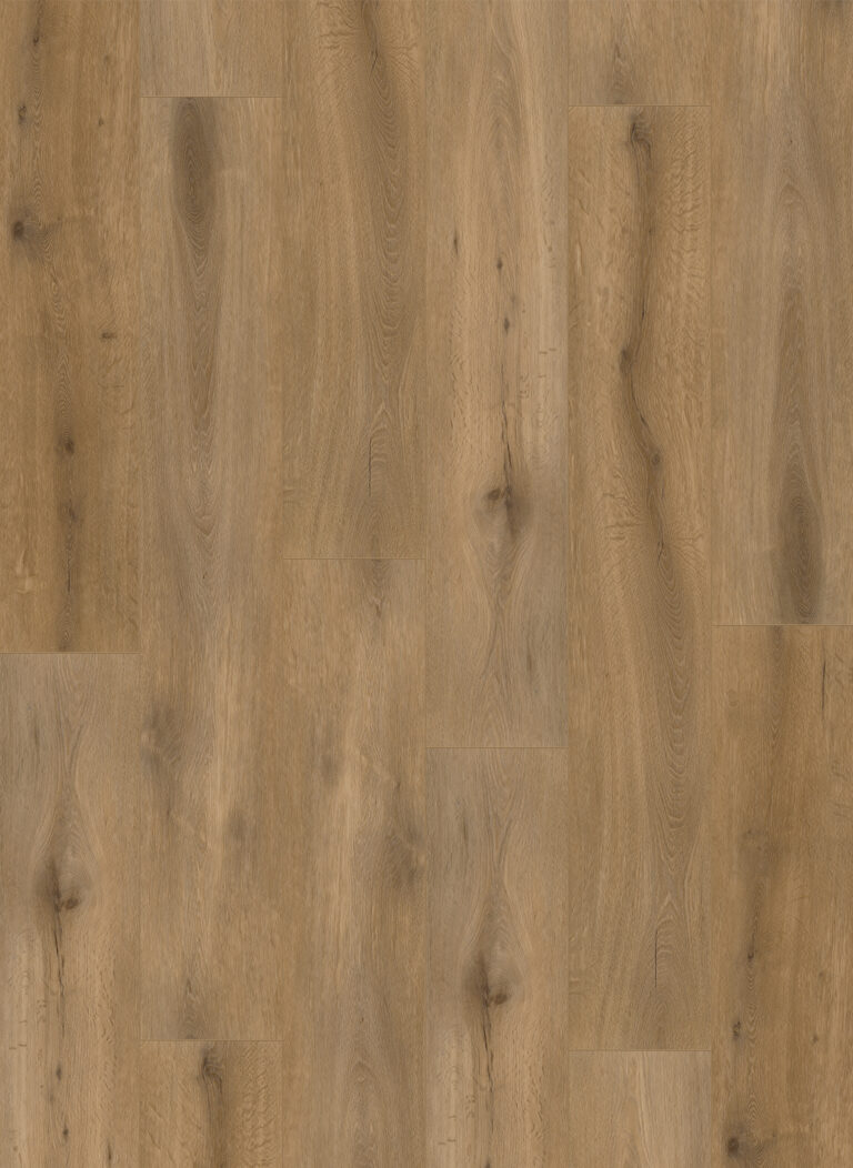 Callisto 4102 (dryback)