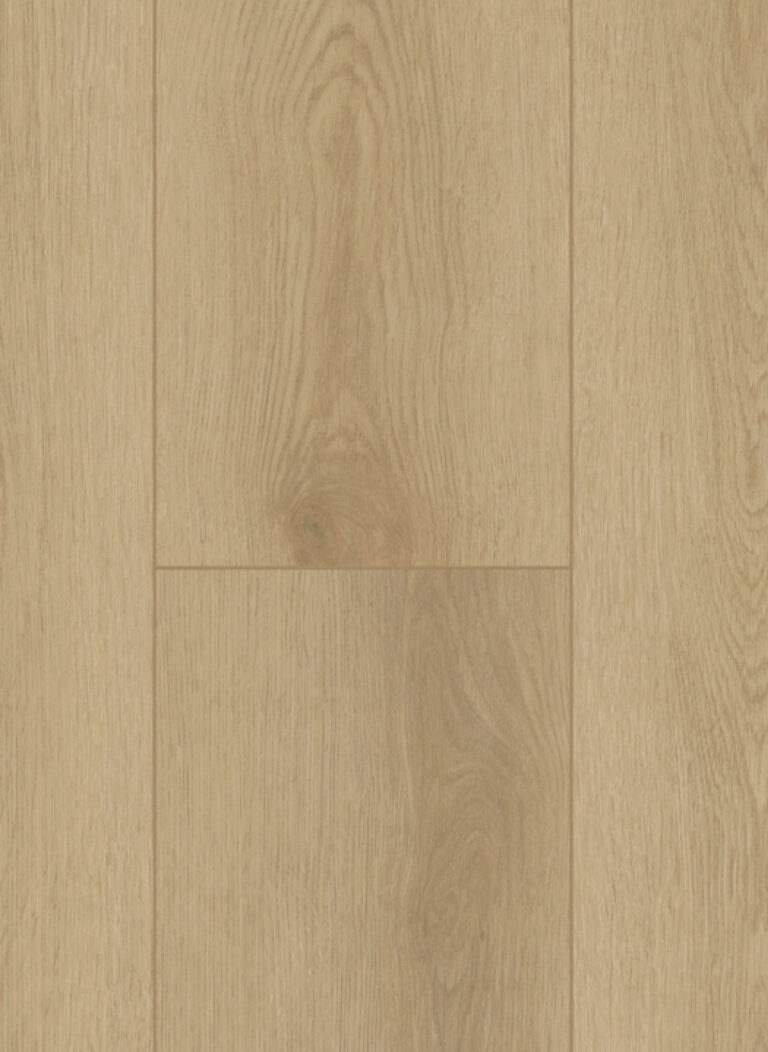 Firmfit 6500 (dryback)