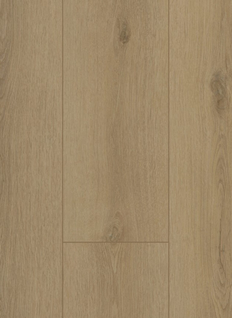 Firmfit 6501 (dryback)