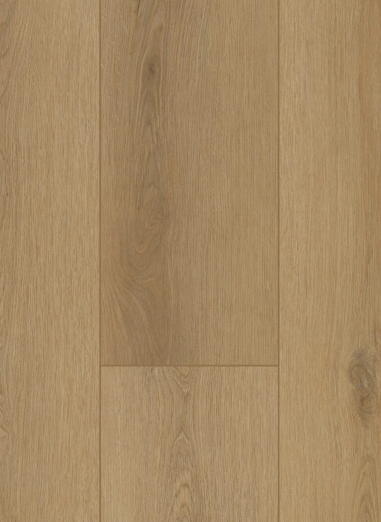 Firmfit 6502 (dryback)