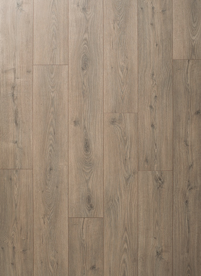 Noblesse Classic 4931