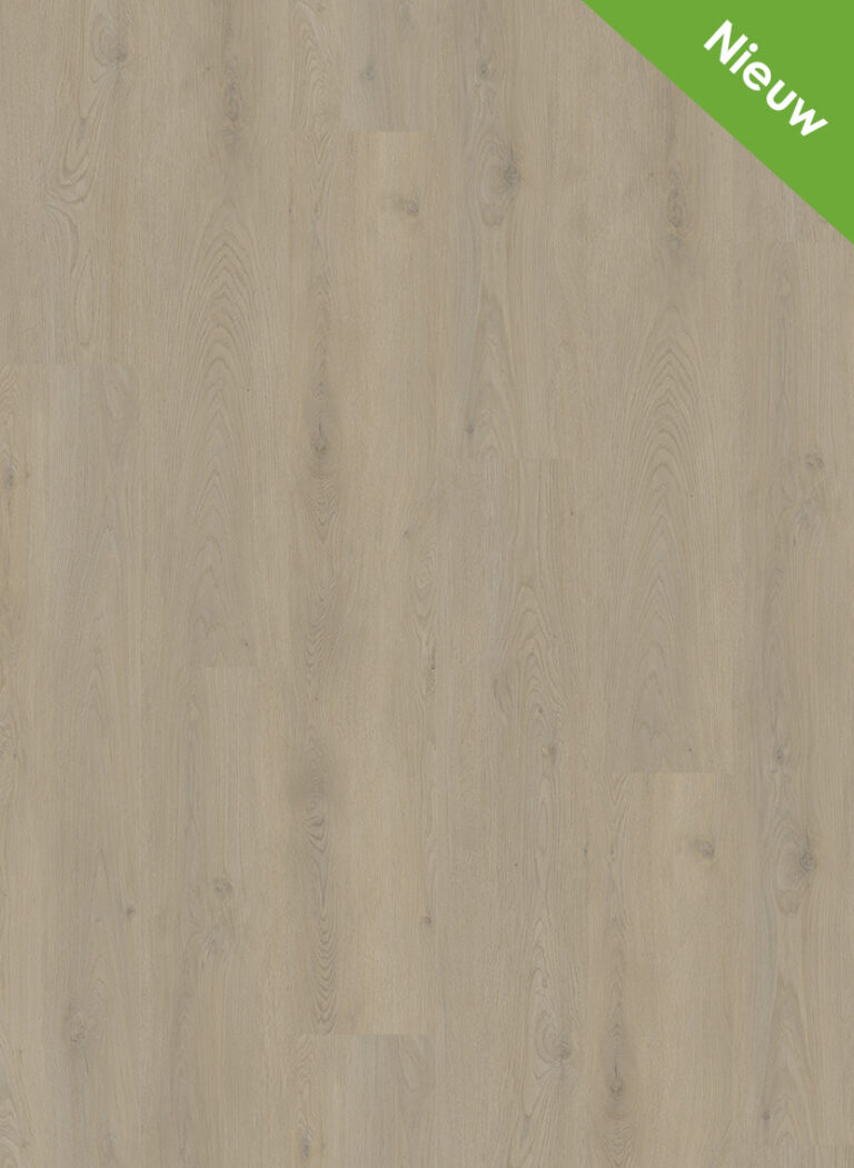 Mystiq 2803 (rigid click)