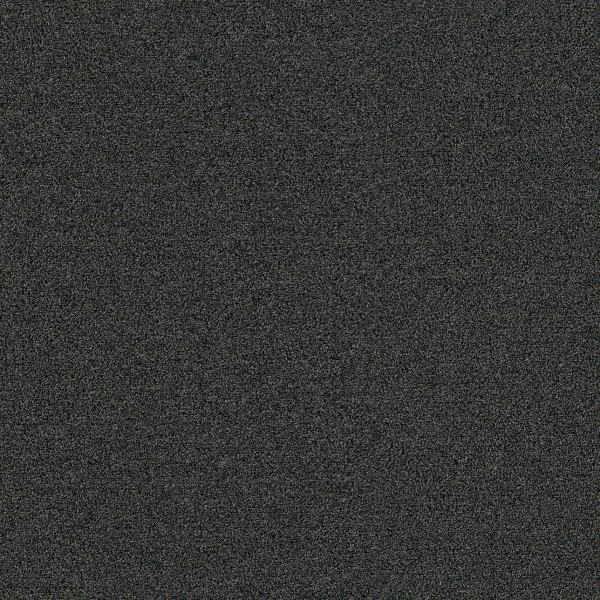Passage olifant 0120 | 200cm - incl. 2x2,5cm stootrand