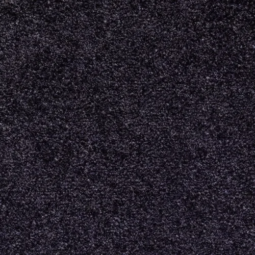 OTIUM Entreemat functioneel zwart 200 cm breed