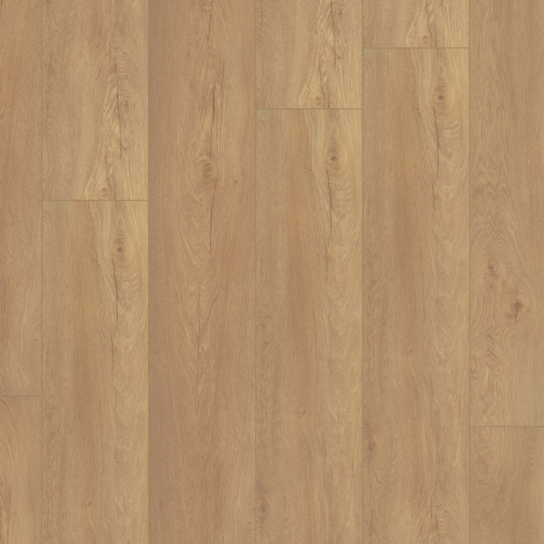 Union Square honing eiken