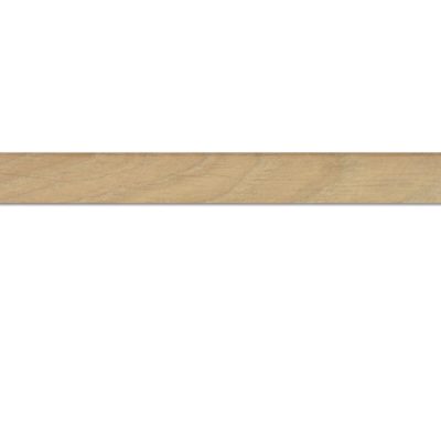 Co-pro plakplint essen blank 8441