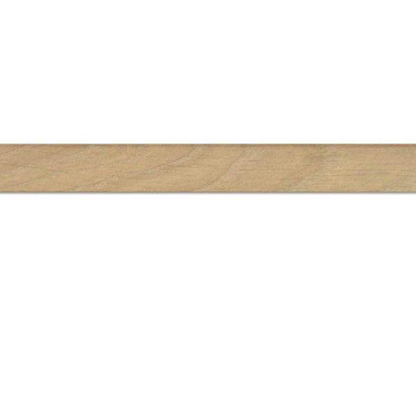 Co-pro plakplint essen blank 8441