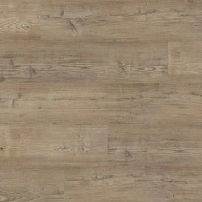 Manly dryback smokey pine