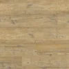 Manly dryback light pine