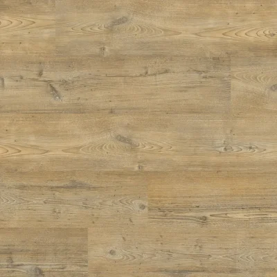 Manly dryback light pine