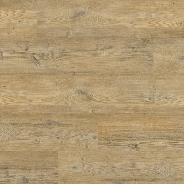 Manly dryback light pine