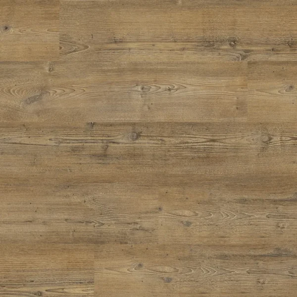 Manly dryback warm pine