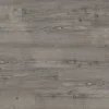 Manly dryback grey pine
