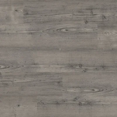 Manly dryback grey pine