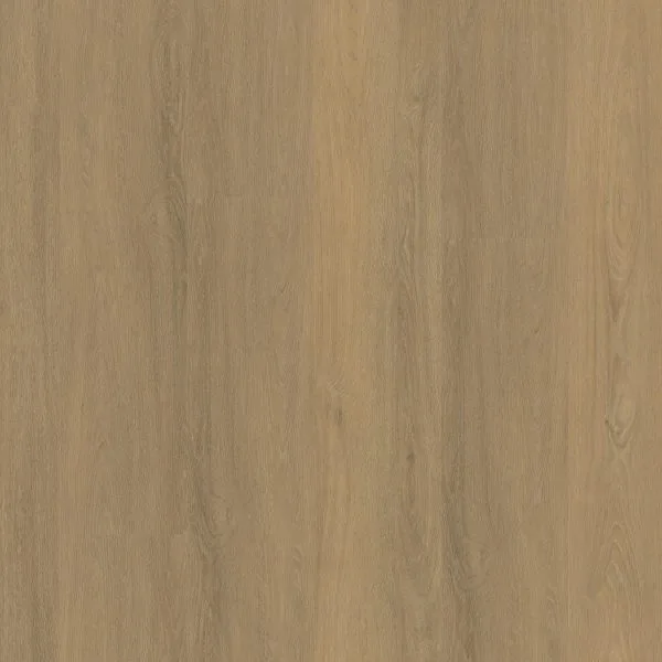 Sutton click SRC warm natural