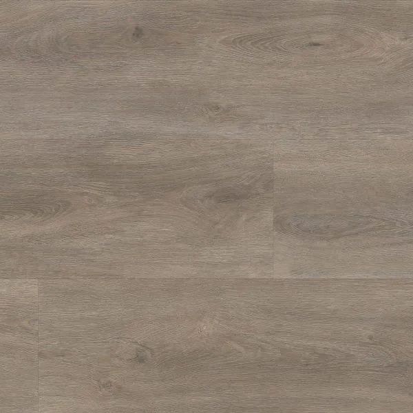 Parramatta dryback smoky