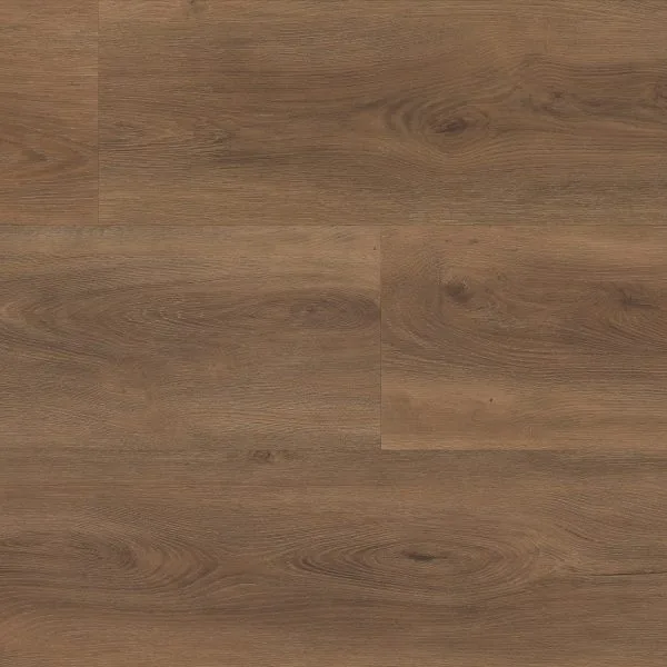 Parramatta dryback warm brown