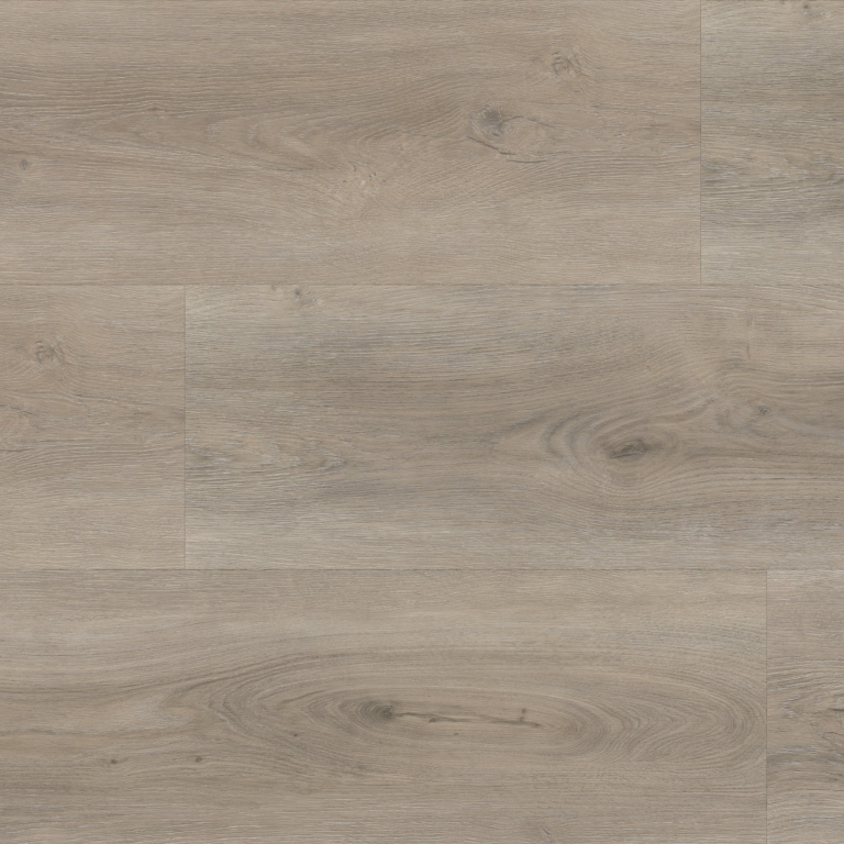 Parramatta dryback light grey
