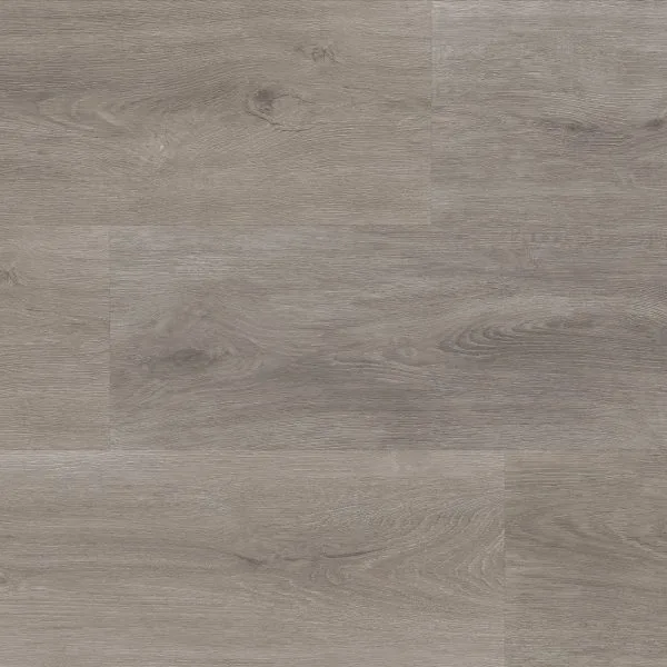 Parramatta dryback grey oak