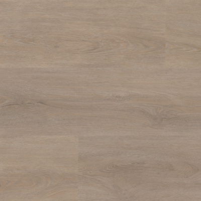 Parramatta dryback light oak