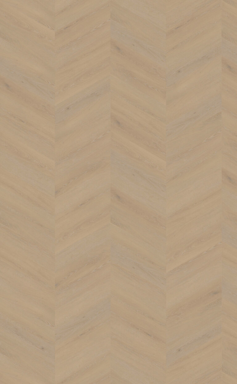 Cervo Hongaarse punt | Weense punt 20