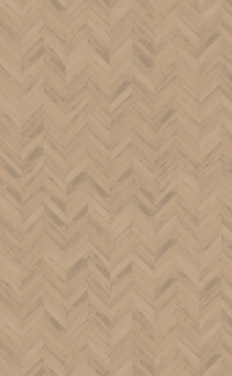 Palazzo Hongaarse punt | Weense punt 72