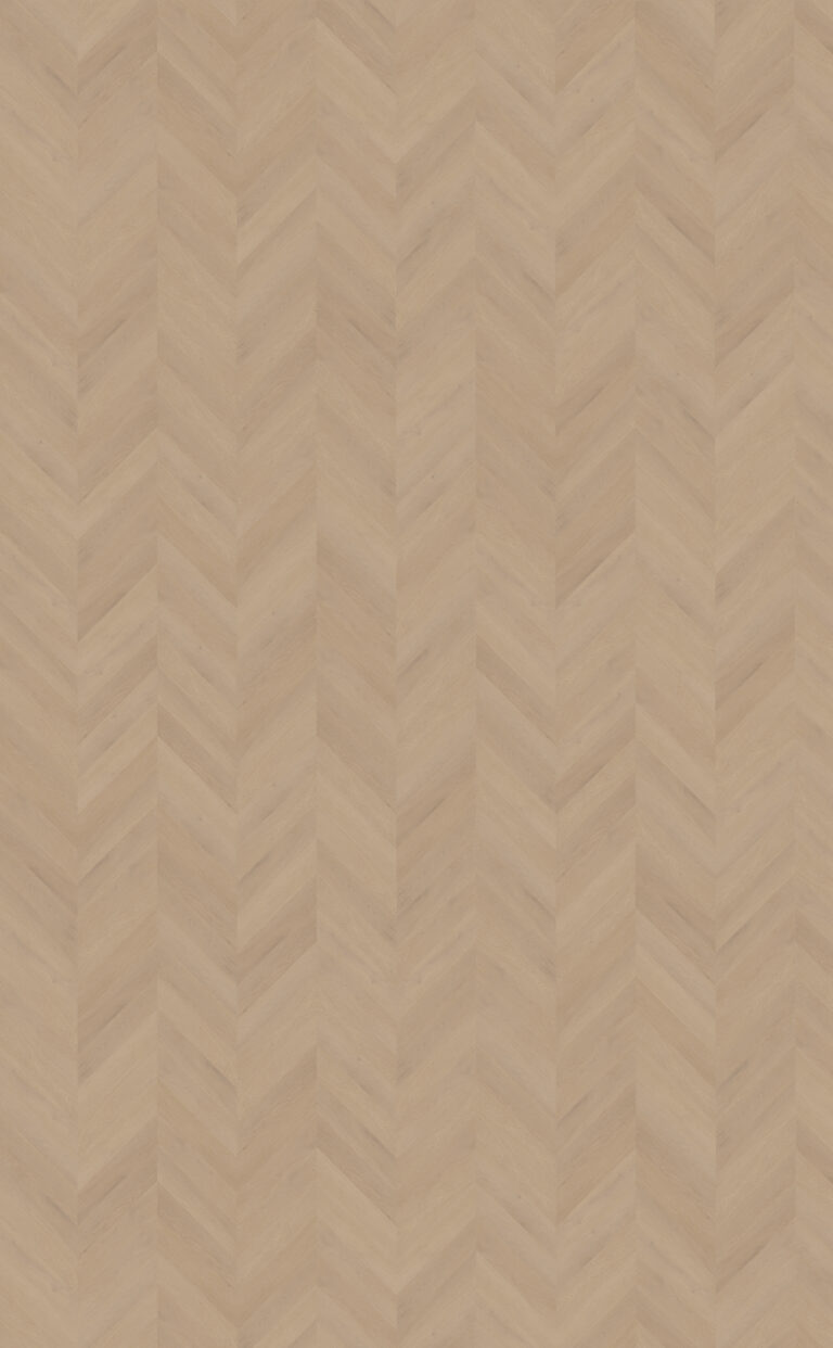 Palazzo Hongaarse punt | Weense punt 77