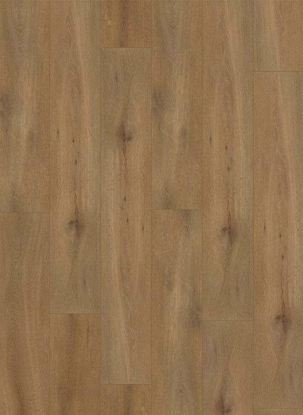 Callisto Dryback 4100 Natural Oak Dark