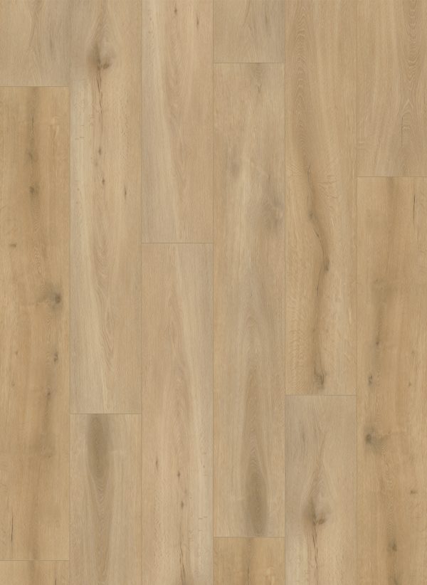 Callisto Dryback 4101 Natural Oak Light
