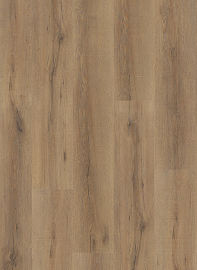 City Dryback 4601 Smoked Oak Natural