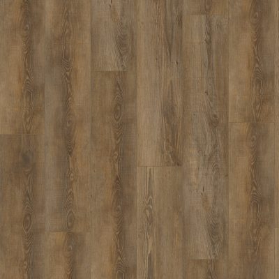 City Dryback 4604 Olympia Pine Natural