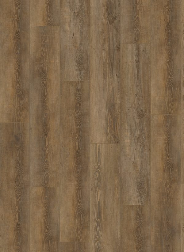 City Dryback 4604 Olympia Pine Natural