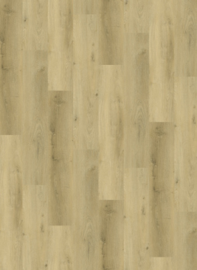 Country 4304 Prestige Oak Light