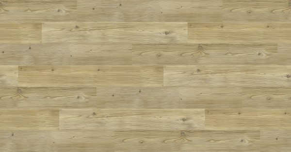 Oak Manitoba