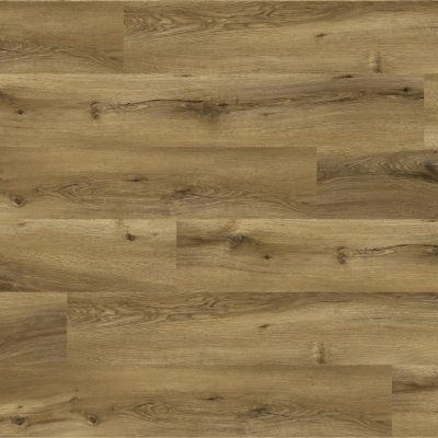 Oak Elbrus