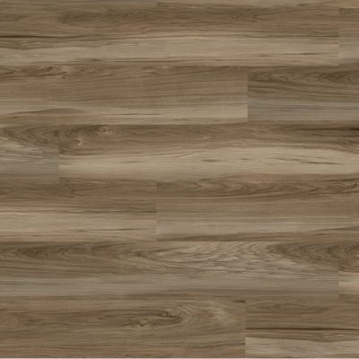 Oak Longmont
