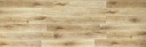 Oak Columbus