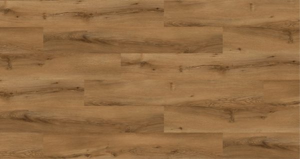 Oak Ural