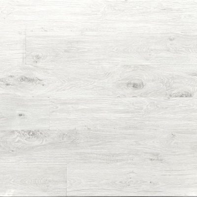 Oak Pamir