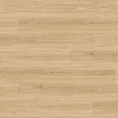 Oak Montana