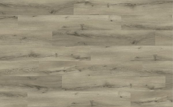 Oak Boston