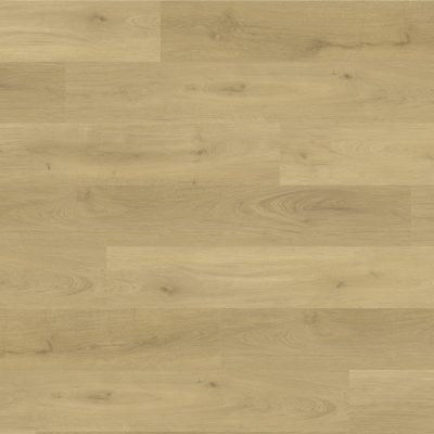 Oak Rome