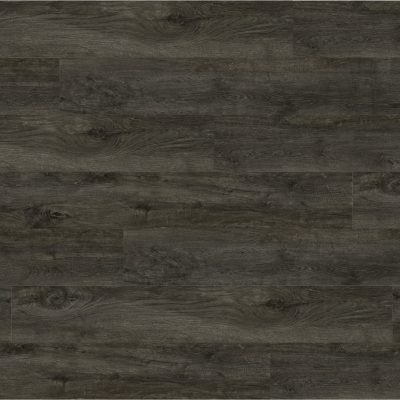Oak Darwin