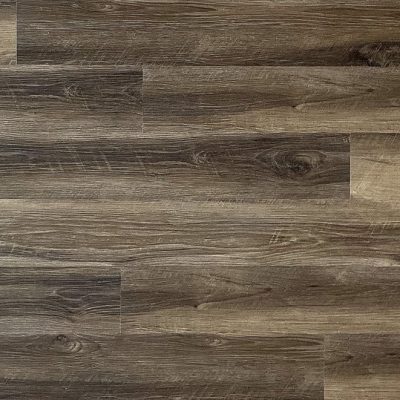 Oak Charlotte