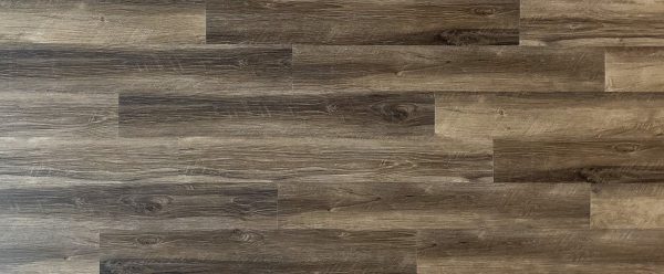 Oak Charlotte