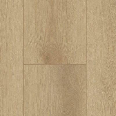 Firmfit Dryback 6500 Sierra Light