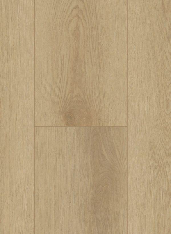 Firmfit Dryback 6500 Sierra Light