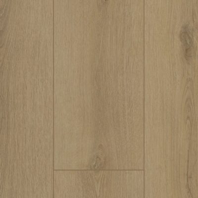 Firmfit Dryback 6501 Sierra Beige